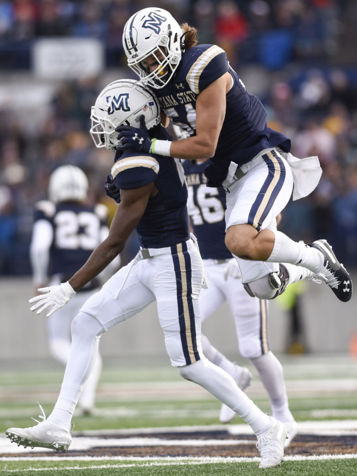 Cat Griz 2019